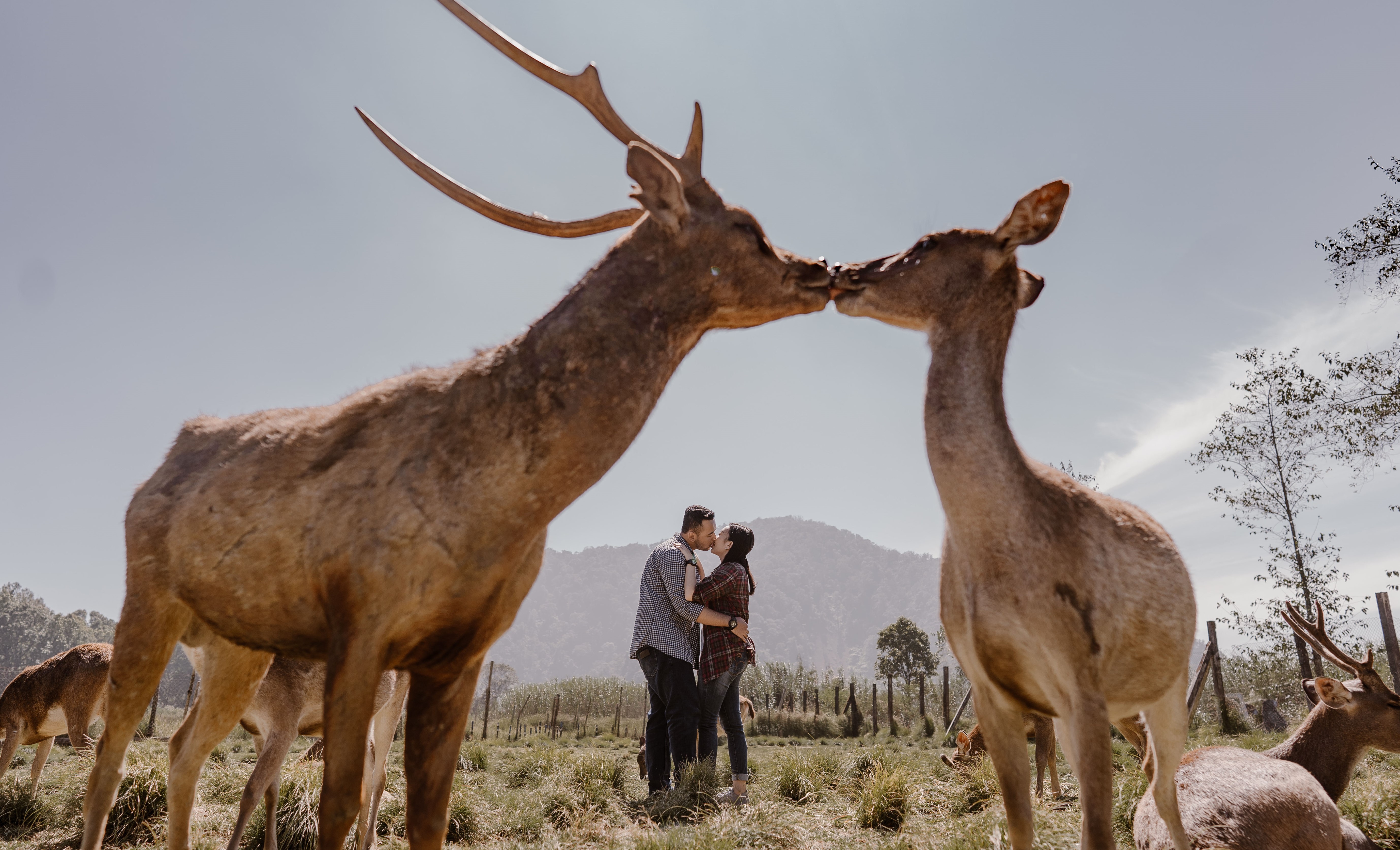 Adorable Story Wedding Photography